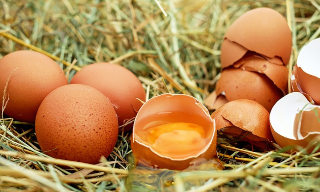 Top 10 medical advantages of eggs.