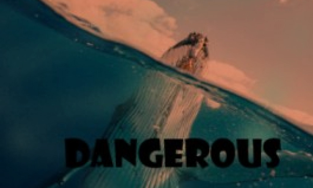 Why Dead Whales Are Dangerous? Know The Reason