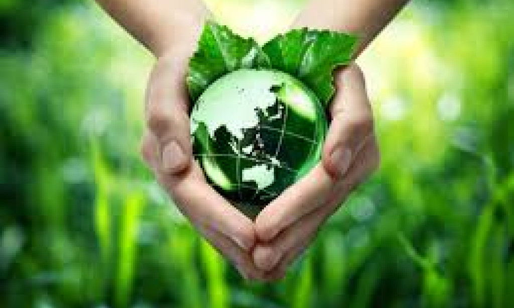 Top 10 Unique Ways Of Save The Environment Everyone Should Know