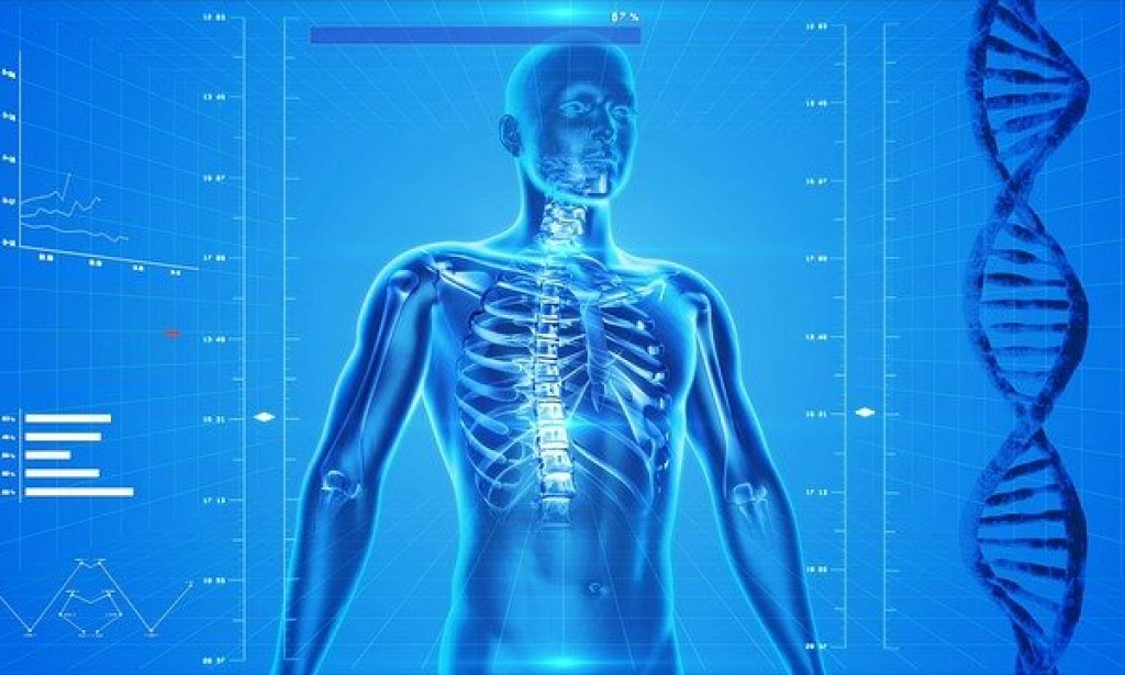 10 Amazing Facts About Human Body